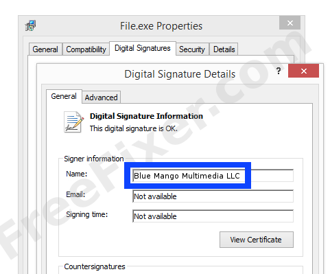 Screenshot of the Blue Mango Multimedia LLC certificate